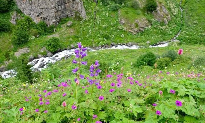 Camlihemsin House | Cozy Cicekli Pansiyon: Pet-Friendly Camping Experience