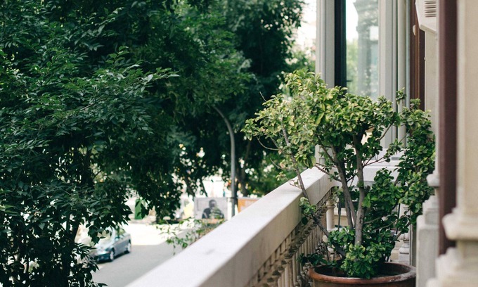 Eixample Bed & Breakfast | Experience Timeless Elegance at Circa 1905 - Rated 9.6/10