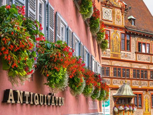 Lustnau Apartment | Discover City Apartment Tübingen-Lustnau with Ocean Views