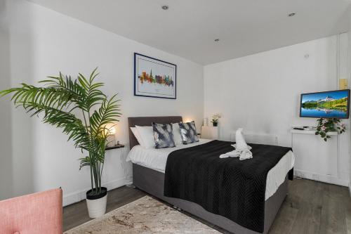 Exeter Apartment | Pet-Friendly Exeter City Centre Stoop Apartment Awaits You