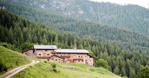 Marmora Ski Chalet | Discover Civico 12: Family and Pet-Friendly Retreat