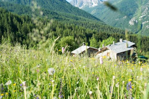 Marmora Ski Chalet | Discover Civico 2: Family & Pet-Friendly Getaway