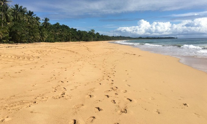 Bocas del Toro RV Rental | Clamping Jungle Bluff Beach Paradise - cozy tent under the monkey tree near the beach