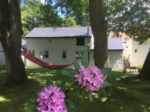 Churt Cabin | Premier Stay at Claremont Coach House - Rated 10/10!