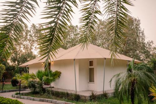 Sawai Madhopur Resort | Escape to Clarks Safari Ranthambore: Pool & Spa Retreat