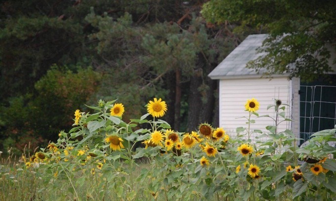 Jefferson Bed & Breakfast | Guest Rated 9.8: Clary Lake Bed and Breakfast Retreat