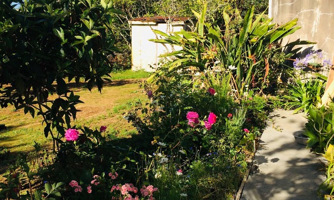 Awhitu House | Charming 1950s House with Oceanfront Pool & Kid-Friendly Fun