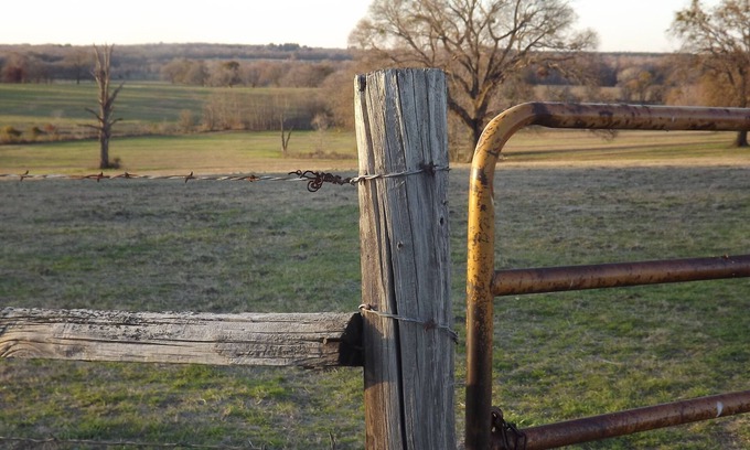 Montalba Other | Welcoming Family Ranch: Discover Authentic Texas Charm