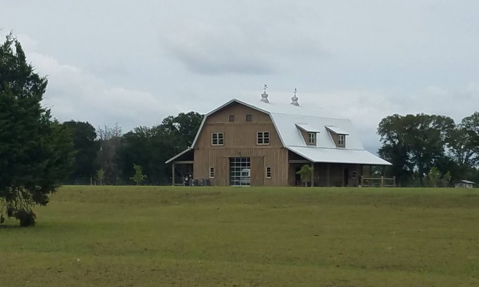 Round Top Other | Elegant Cattle Farm Experience with Wine and Family Amenities
