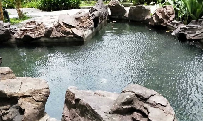 Luzon Apartment | Elegant Studio at Acqua Livingstone with Private Pool