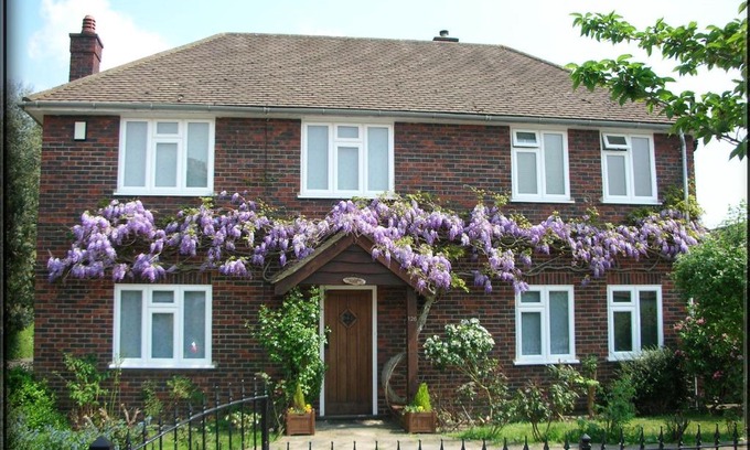 London Borough of Bromley Bed & Breakfast | Highly Rated Clay Farm Guest House: Pet-Friendly Retreat
