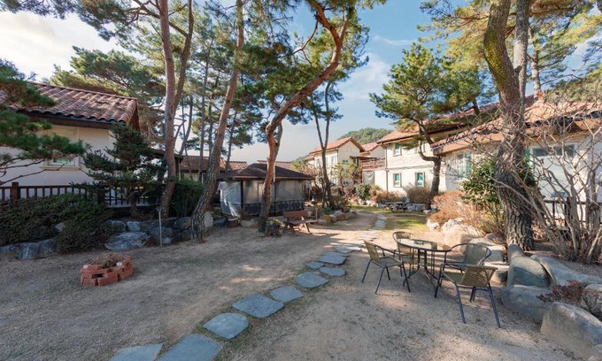Gyeongju House | Bright and Pet-Friendly Pension with Pool & Kitchen Access