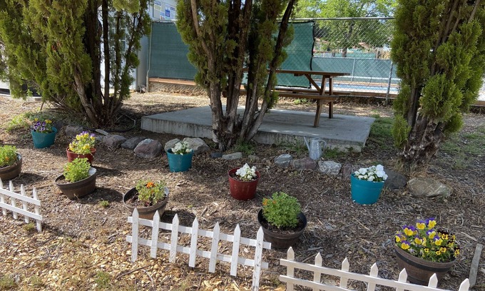 Clearlake Park Cabin | Pet-Friendly Clearlake Cabins with Ocean View & Pool Access