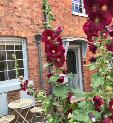 Upton upon Severn House | Pet-Friendly Clerks Cottage: Rated 9/10 for Family Fun