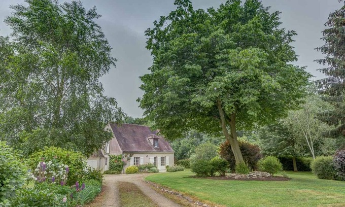 Rémy House | Reconnect Amidst Nature: Spa Retreat with Forest Views