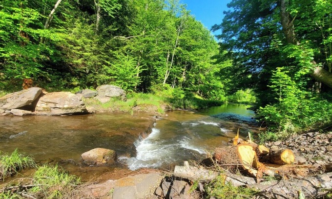 Maplecrest Cottage | Explore Windham & Hunter: Pet-Friendly Getaway Awaits