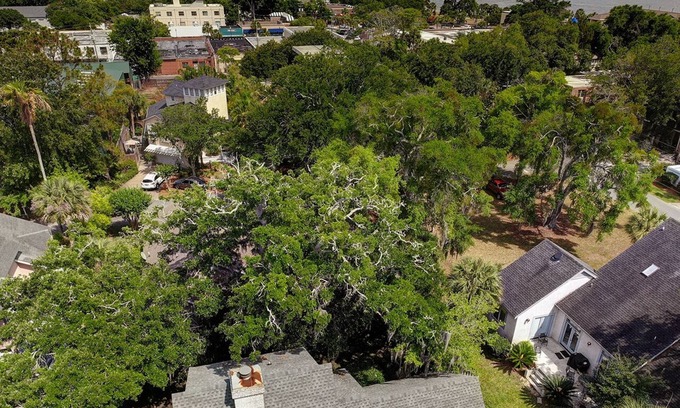 King City House | Ideal Location Steps from Restaurants and the Pier