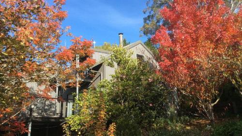 Kangaroo Valley House | Cozy Cloudsong Chalet: Steps from the Village Centre