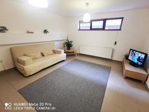 Cluj-Napoca Apartment | Guest Rated 9.5: Cluj City Marasti Apartment, Pet Friendly