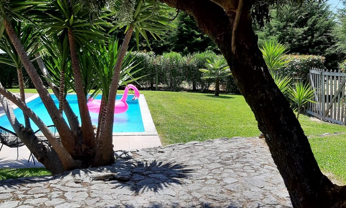 Carregal do Sal Cottage | Relaxing Country House with Pool and Green Spaces