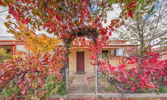 Orange House | Coachman's Cottage - Cosy Charm, Pets Welcome