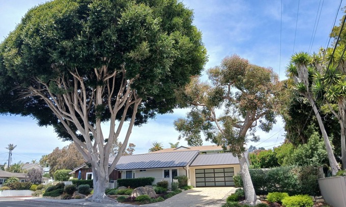 The Mesa House | Coastal Pearl: Oceanfront Getaway by the Wharf!