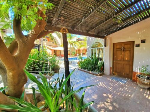 Loreto House | Experience Coco Cabañas: Pet-Friendly Ocean View Rentals