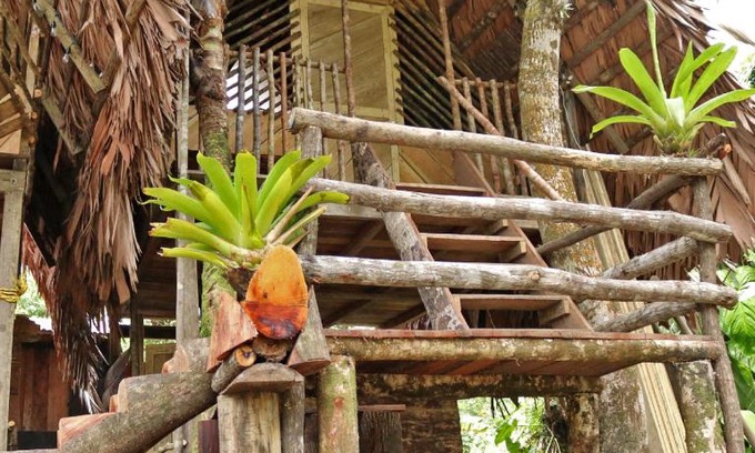 Uramba National Park Apartment | Oceanfront Coco House: Pet-Friendly Stay with Great Views