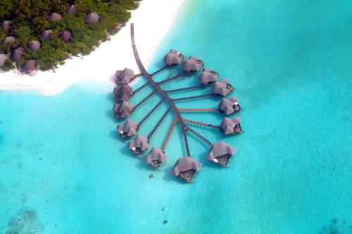 Dhunikolhu Resort | Oceanfront Bliss at Coco Palm Dhuni Kolhu - Rated 9/10