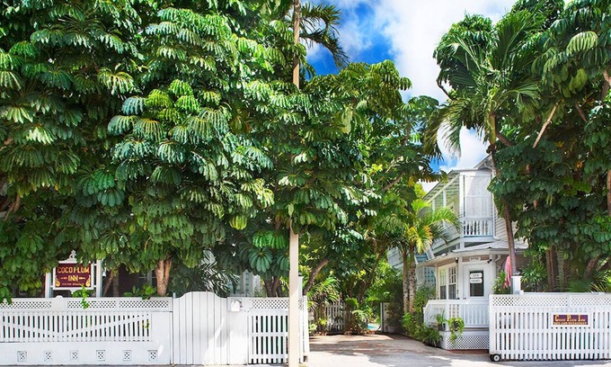Downtown House | Guest Rated 9.6: Experience Oceanfront at Coco Plum Inn