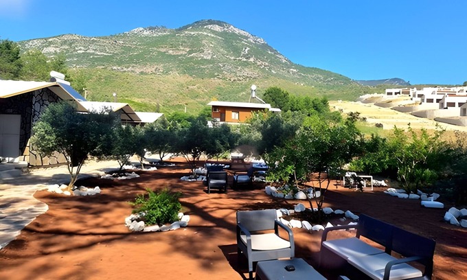 Olympos Apartment | Experience Coconut Apart: Guest Rated 10/10 with Kitchen