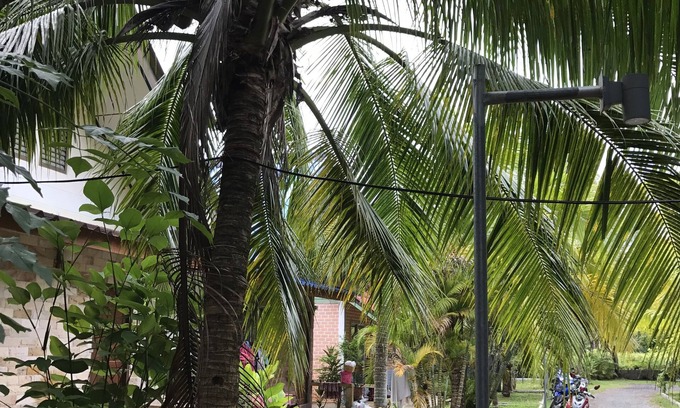 Sa Khu Villa | Cozy Coconut Bungalow with Oceanfront Views and Breakfast