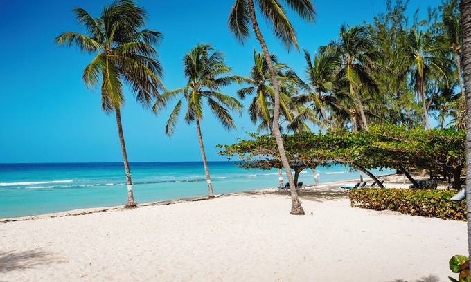 Hastings Resort | Beachfront Bliss at Coconut Court Beach Hotel
