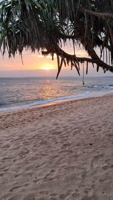 Tangalle Bed & Breakfast | Coconut Tree hill Rekawa
