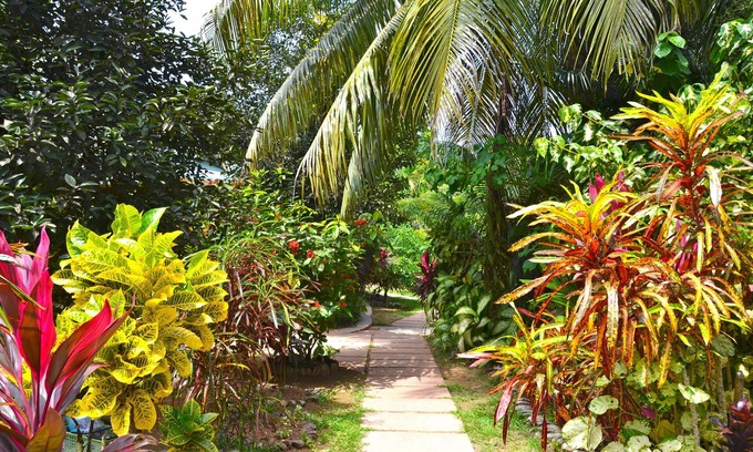 La Passe House | Top-Rated Cocotier Du Rocher: Breakfast & Family Amenities