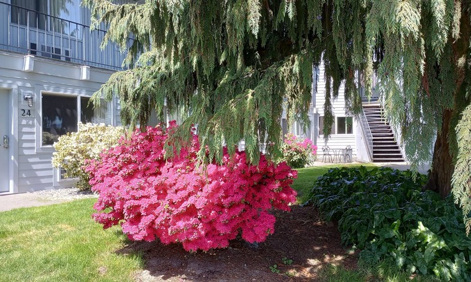 Burlington Hotel | Cozy Cocusa Motel: Family-Friendly with Breakfast Included