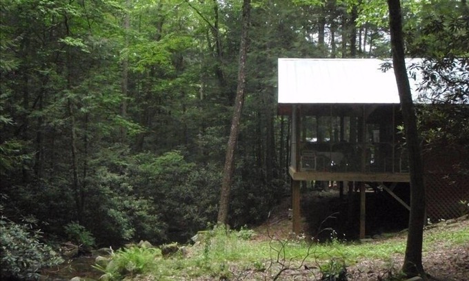 Tellico Plains Cabin | Pet-Friendly Coker Creek Creekside Bungalow with Pool