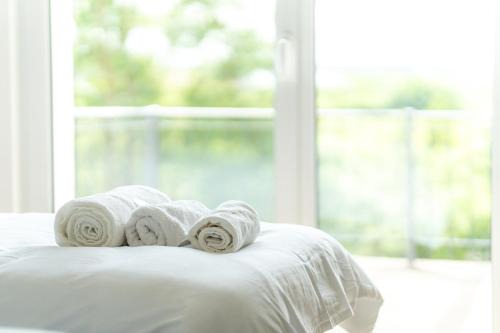 Willroth Apartment | Oceanfront Retreat: Colakation with Exceptional Amenities
