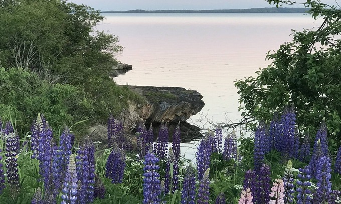 Searsport House | Oceanfront Bliss at Colcord Cottage - Guest Rated 10/10