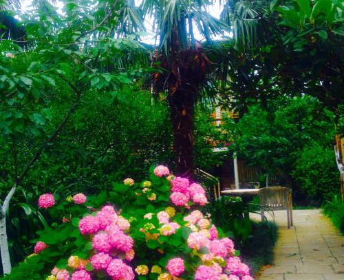 Kutaisi House | Pet-Friendly Getaway at Colibri Home with Breakfast Included
