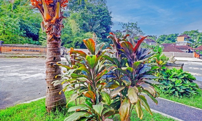 Cokroaminto Hotel | Relax at OYO 91610 Batukaru Garden Hotel with Breakfast