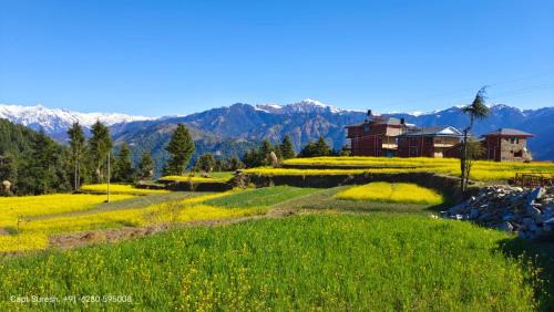 Jogindarnagar Bed & Breakfast | Colonel's Barot Highland Retreat: Family-Friendly Getaway