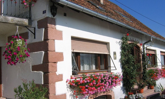 Neuve-Eglise Cottage | Explore the Floralies in Beautiful Val de Villé Today