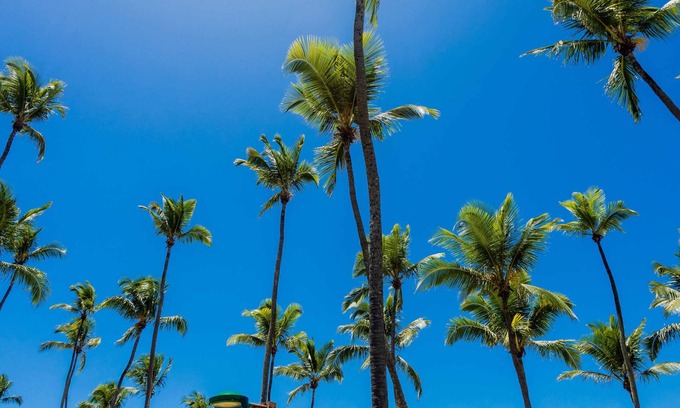 Vilas do Atlantico House | Seaside Comfort with Ocean Views and Pet-Friendly Amenities
