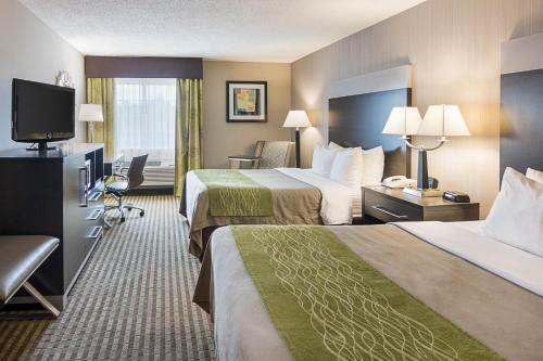 Camden Hotel | Inviting Comfort Inn Camden with Pool and Family Amenities