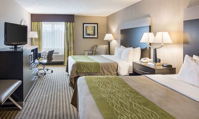 Camden Hotel | Relax at Comfort Inn Camden with Pool and Spa Amenities