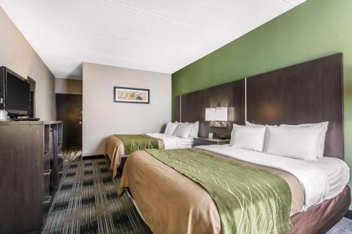 Middleburg Heights Hotel | Convenient Comfort Inn Near Cleveland Airport for Families