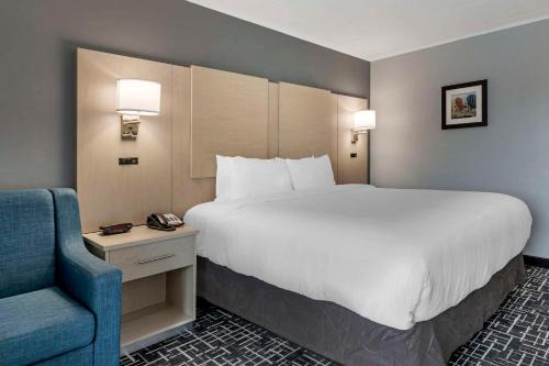 Hyannis Hotel | Relax at Comfort Inn Hyannis - Cape Cod with Pool & Breakfast