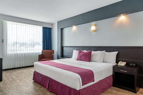 Morelia Hotel | Welcoming Comfort Inn Morelia: Family-Friendly Amenities