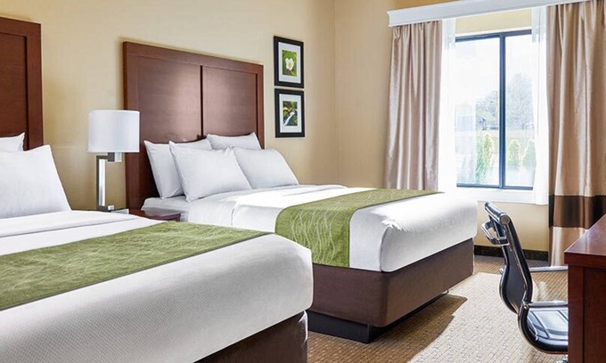Romeoville Hotel | Eco-Friendly Comfort Inn Romeoville with Pool and Spa